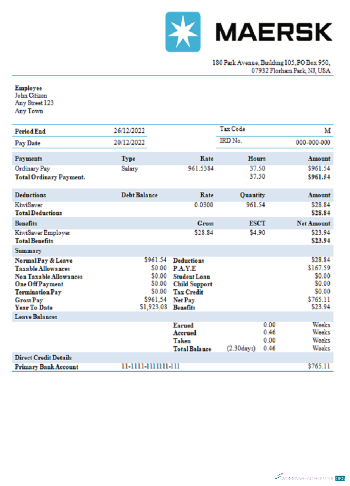 Download USA Maesk shipping company pay stub Photoshop template